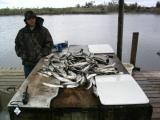 Nice table of trout.